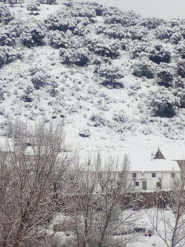 Agroturismo Casa Rural El Cortijo Nuevo