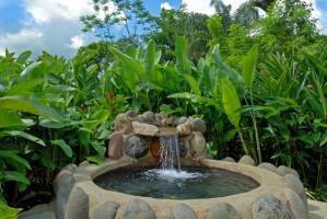 Hotel Volcano Lodge & Gardens