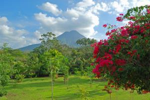 Hotel Volcano Lodge & Gardens