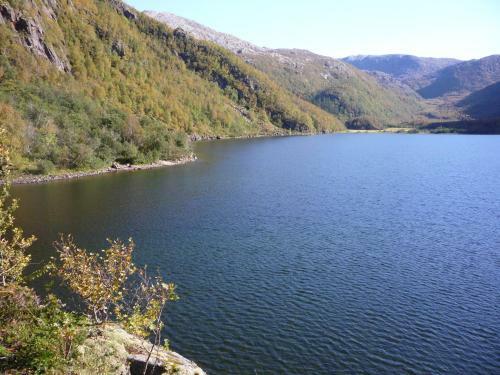 Tosbotn Camping & Cottages