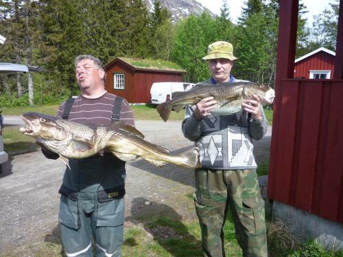 Tosbotn Camping & Cottages