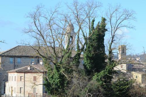 Apartamento B&B Pippinella