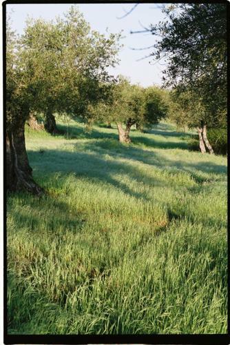 Agroturismo Horta De Torrejais
