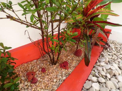 Hostal Istana Hypso
