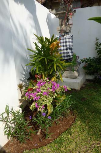 Hostal Istana Hypso