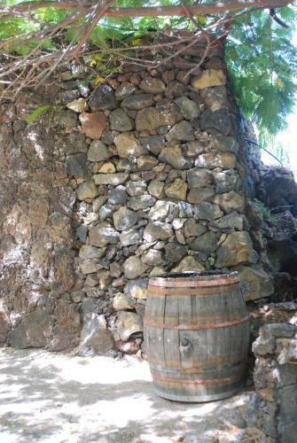 Apartamentos Finca Wapa