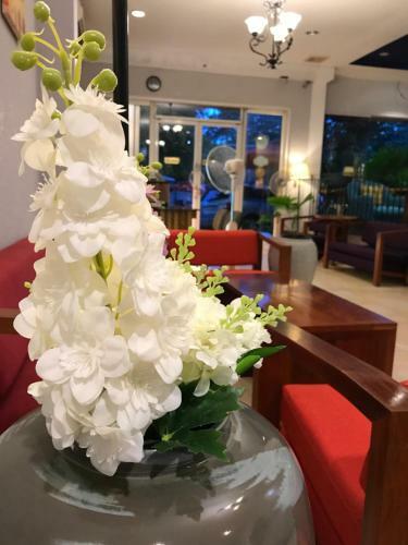 Hostal Dodo Guesthouse
