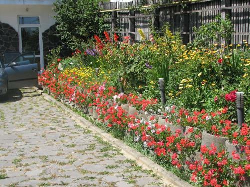 Hostal Pensiunea Warthe