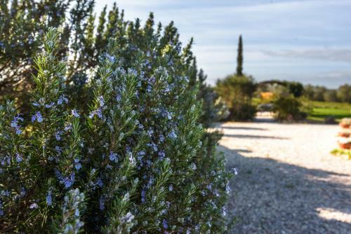 Hostal Agriturismo Il Macchione