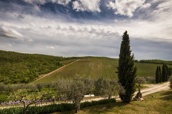 Hostal Querceto Di Castellina