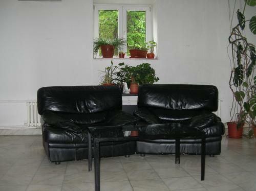 Federa?ia Rom�n? De Scrim? - Hotel Floreta De Aur