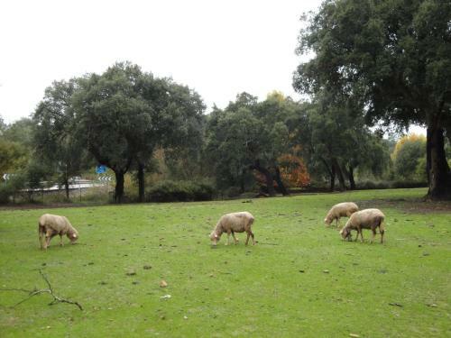 Agroturismo Casa Rural Sierra San Mamede