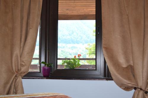 Hostal Inspire View