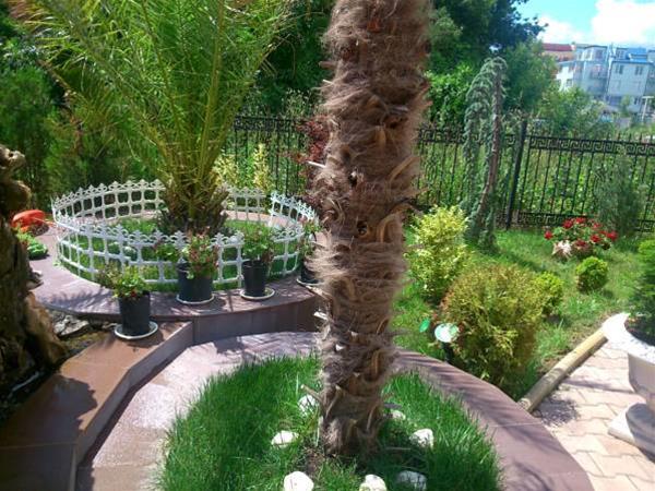 Bahami Hotel