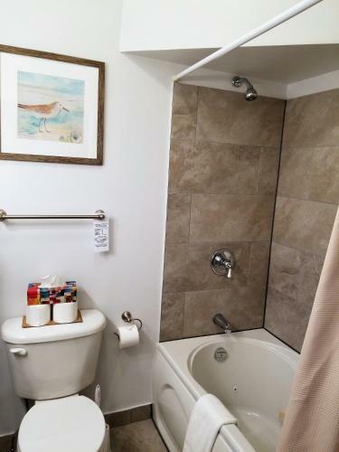 Bed & Breakfast Cabot Guest House