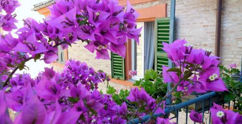 Hotel Albergo Arena