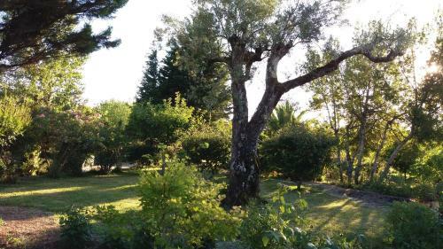 Agroturismo Quinta Da Florencia Clube de Campo Al