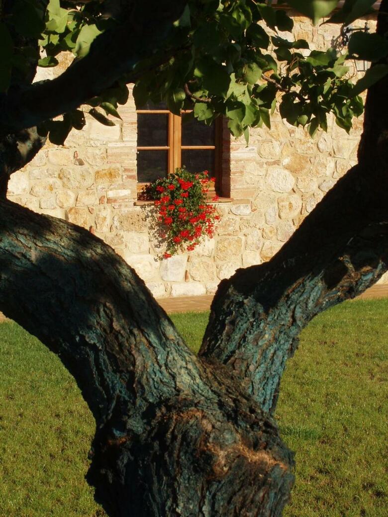 Hostal Agriturismo Bonello