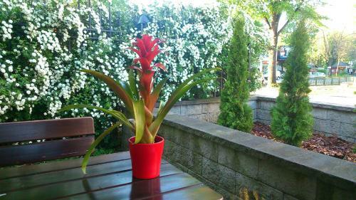 Hostal Villa Lido