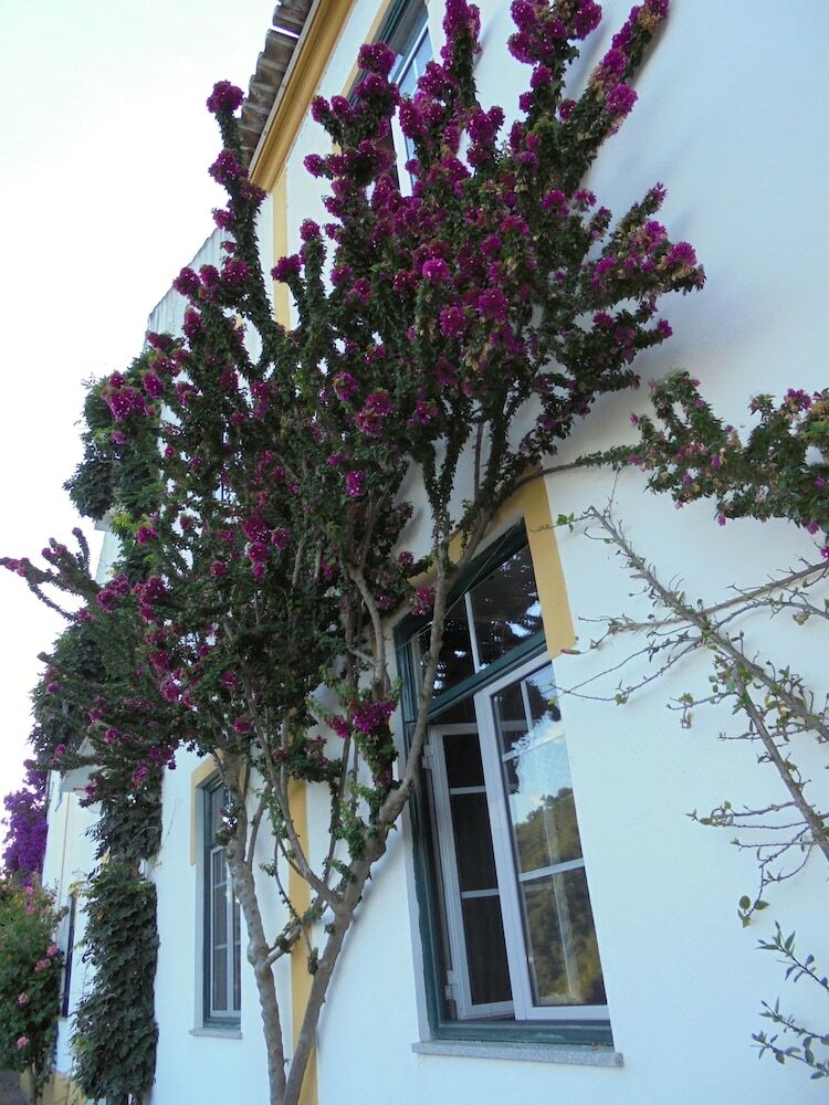 Bed & Breakfast Casa Covao Da Abitureira