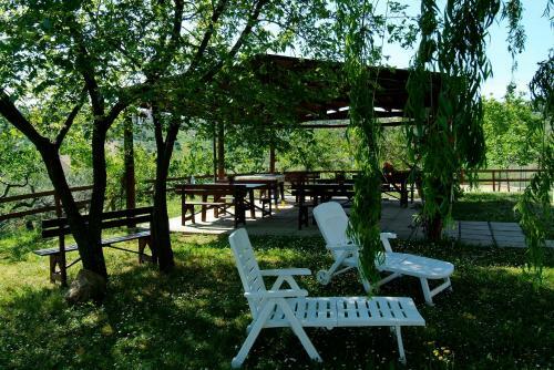 Agroturismo Agriturismo Bio Il Portico