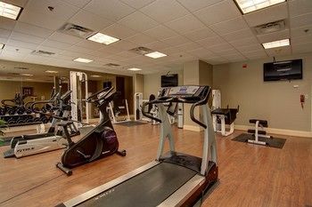 Hotel Holiday Inn Express & Suites Alpharetta