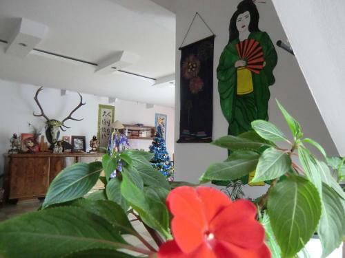 Hostal Pension Casa Samurai