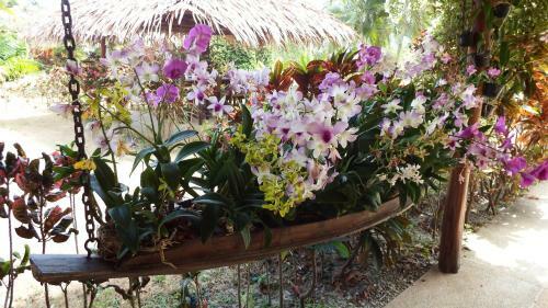 Hotel Ao Thai Resort