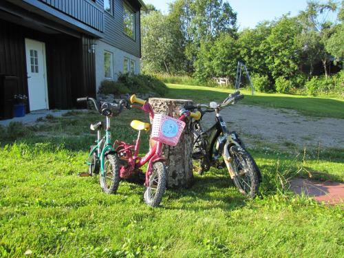 Midt I Lofoten