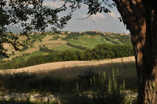 Agroturismo Il Granaio Di Colle Vichinano
