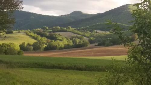 Agroturismo Il Granaio Di Colle Vichinano