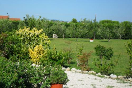Agroturismo Domus Aurea
