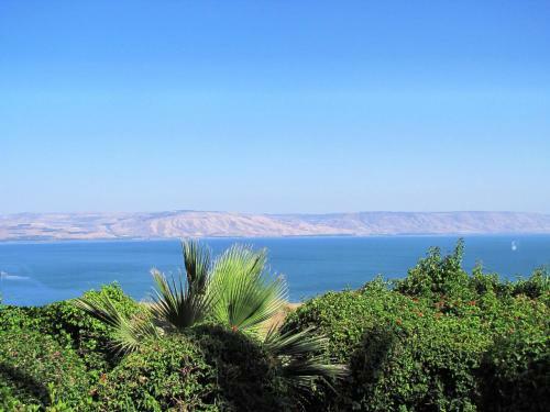 Hostal Aviv Holiday Flat