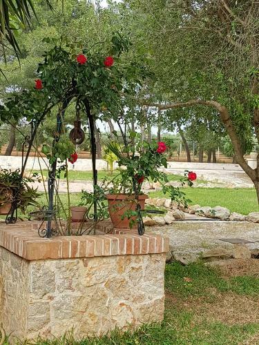 Apartamento Baglio Natura