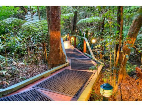 Lodge The Mouses House Rainforest Retreat