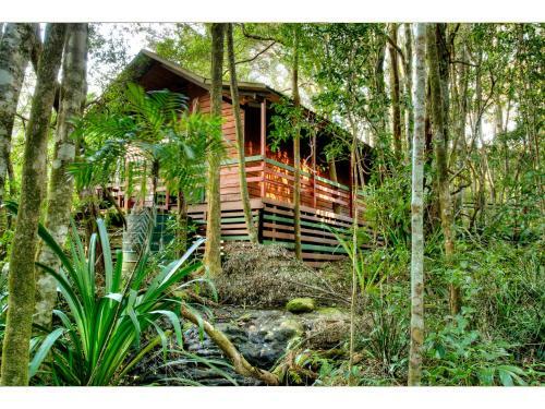 Lodge The Mouses House Rainforest Retreat