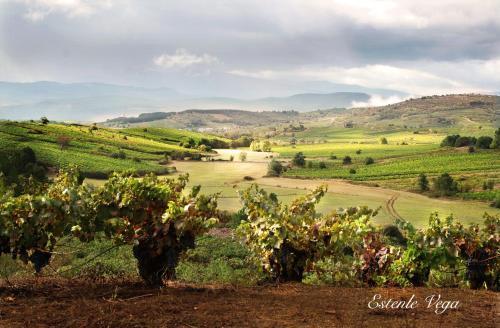 Agroturismo Casona Rural Los Trobos