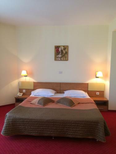 Euro Hotels Gara De Nord