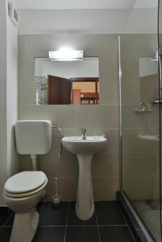 Hostal Serena Guesthouse Bran