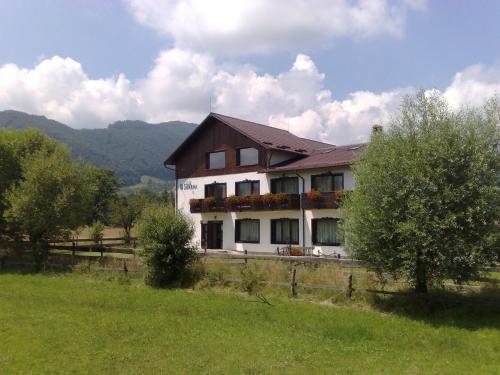 Hostal Serena Guesthouse Bran