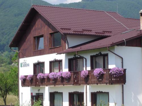Hostal Serena Guesthouse Bran