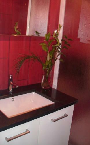 Hostal Alojamento D Ines