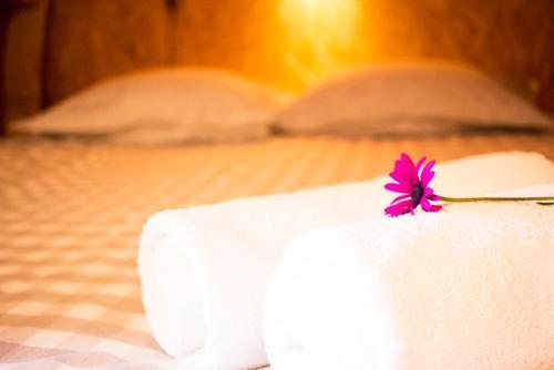 Hostal Laranjalim�o