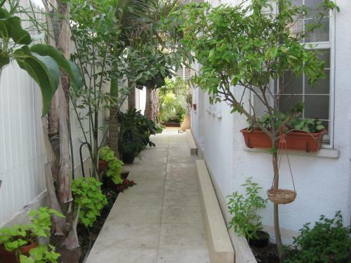 Hostal Dekel Guesthouse