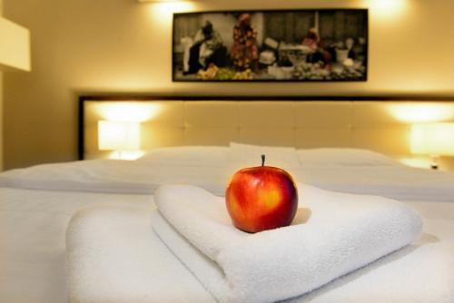 Apartamento City Center House Elephant