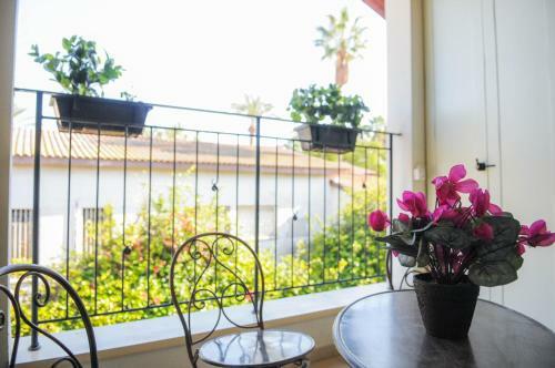 Hapina-shel-michal Hotel