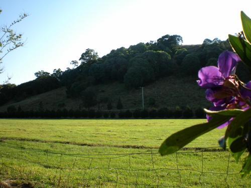 Agroturismo Crystal Creek Country Stay