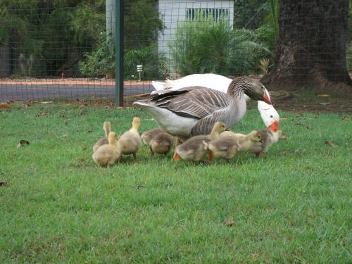 Agroturismo Bungadoo Country Cottage