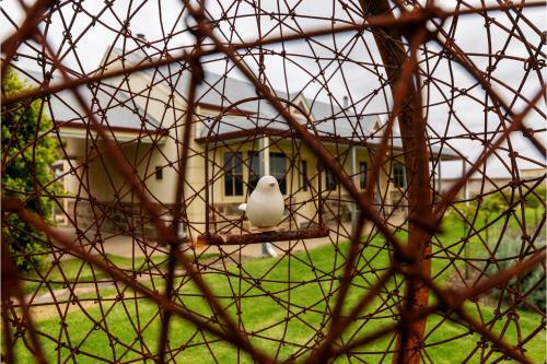 Barossa Vineyard Cottages