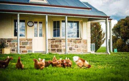 Barossa Vineyard Cottages